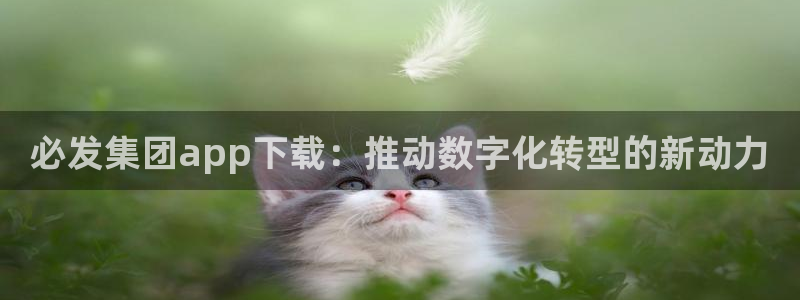彩名堂体育娱乐注册链接：必发集团app下载：推动数字化转型的新动力