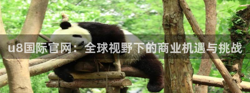 彩名堂体育论坛：u8国际官网：全球视野下的商业机遇与挑战