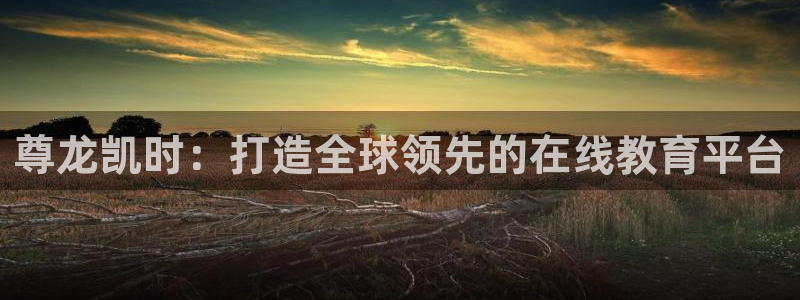 彩名堂体育注册平台：尊龙凯时：打造全球领先的在线教育平台
