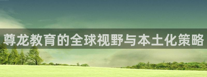 彩名堂4平台：尊龙教育的全球视野与本土化策略