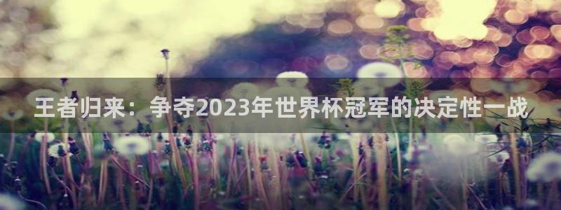 彩名堂4平台：王者归来：争夺2023年世界杯冠军的决定性一战